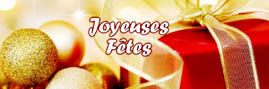 Joyeuses Fêtes 2010